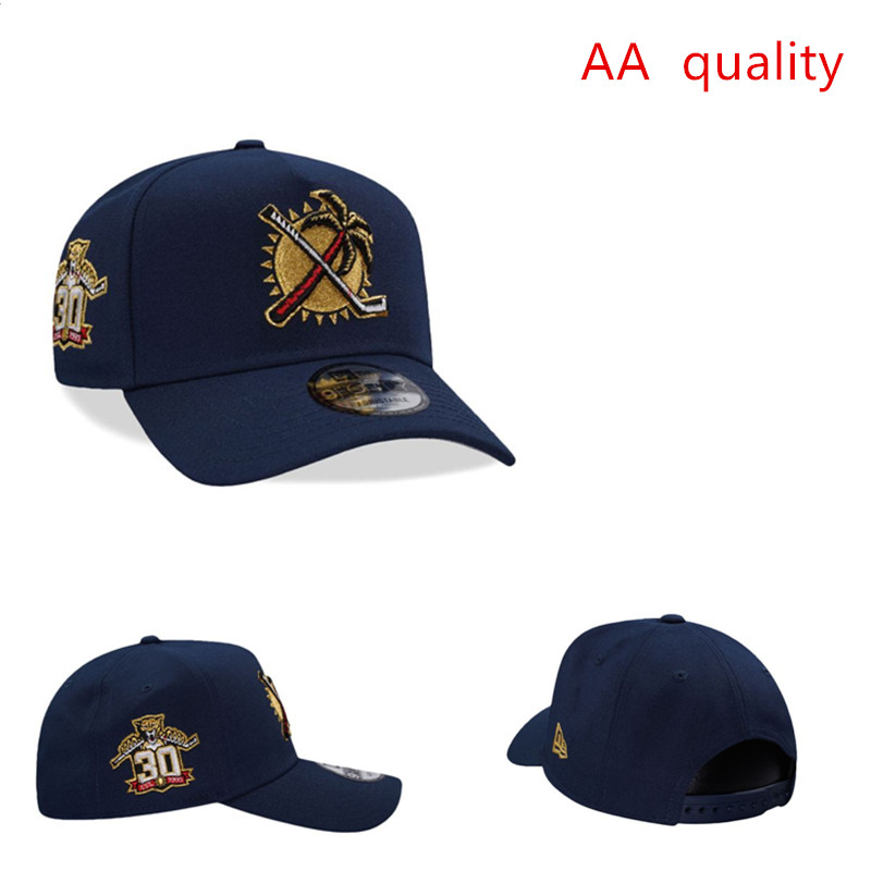 2026 New Hat 924644c31009->nfl hats->Sports Caps
